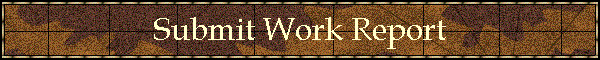 Submit Work Report