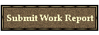 Submit Work Report
