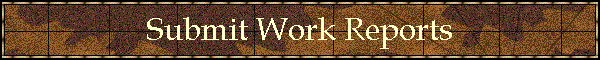 Submit Work Reports
