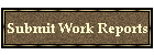 Submit Work Reports