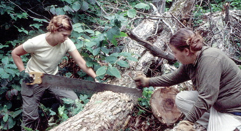 Clearing a blowdown on Wiggin Trail