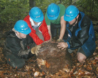 Next time we'll find a rock above the trail!