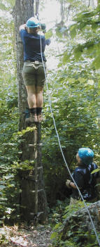 Emma attaches the skyline to a mast tree.